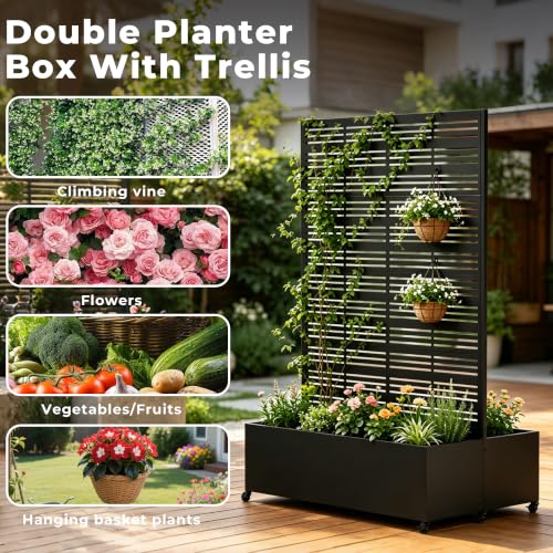 Double Metal Planter Box with Trellis Privacy Screen