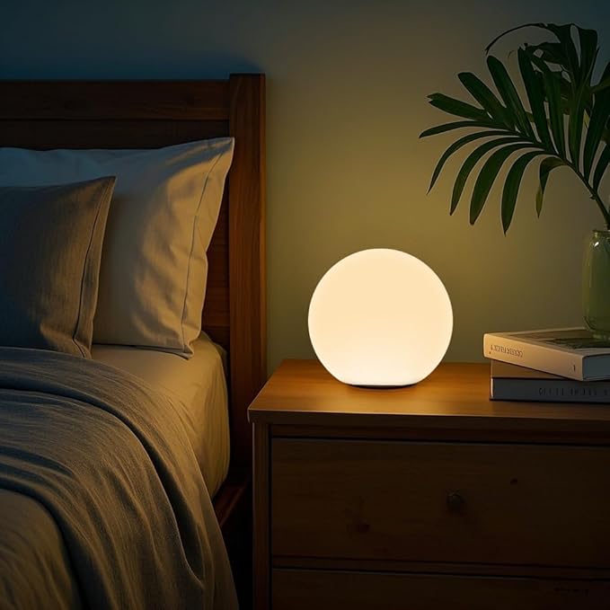LED Night Light Ball Globe Lamp