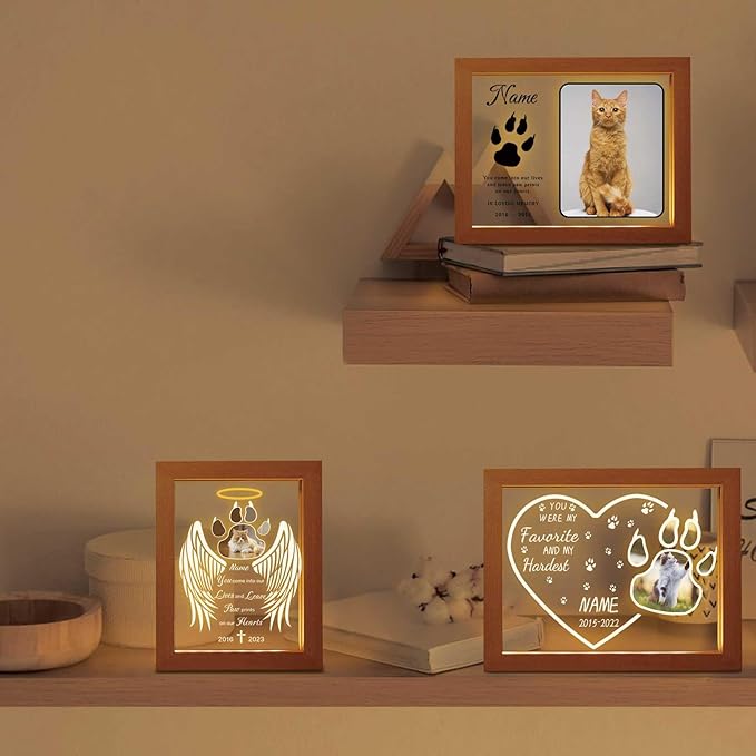Custom Pet Memorial Night Light