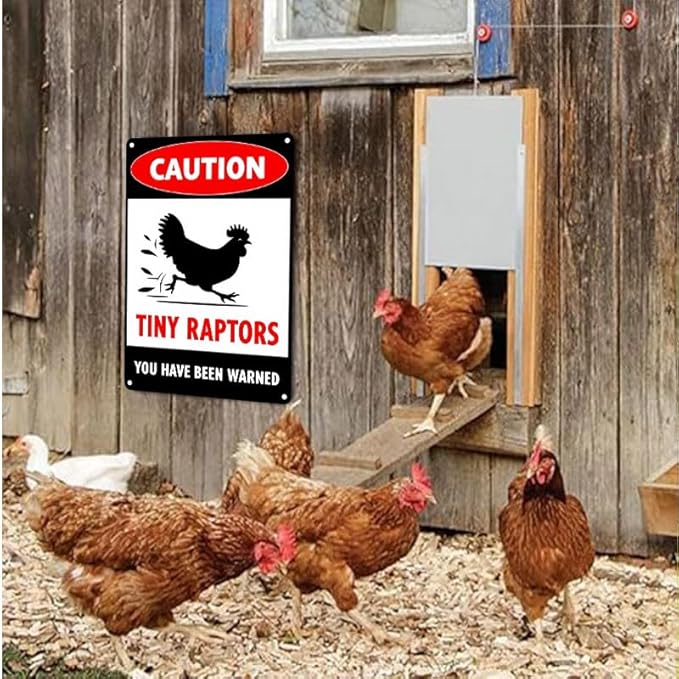 Caution Tiny Raptors Sign Aluminum Chicken Coop Signs for Farm Kitchen Rooster Hen House Decor Beware of Chicken Signs for Chicken Lady Lovers, 12x16inches
