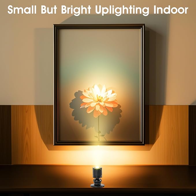 DEDC 6pcs LED Mini Spot Light, 3000K Spotlights
