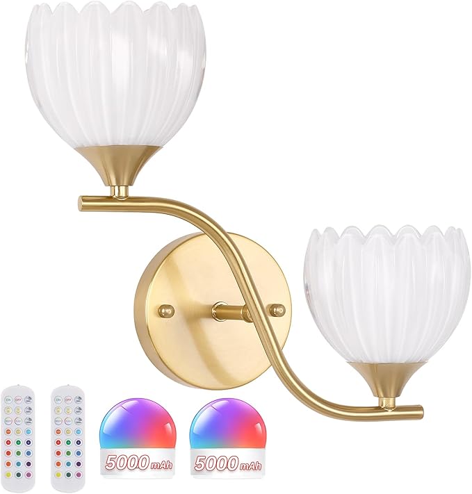 Battery Operated Wall Sconce, 2-Lights Vinatge Brass Wall Lighting