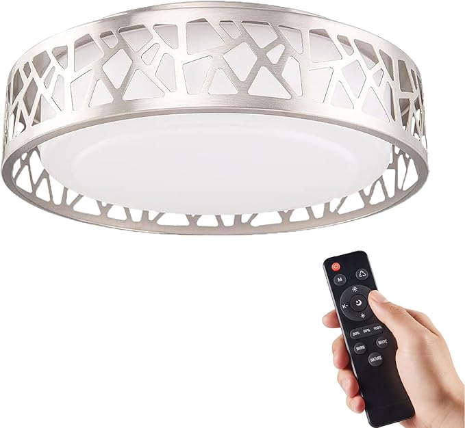 Flush Mount Ceilling Light Fixture