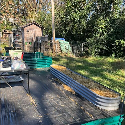 12x2x1ft Galvanized Raised Garden Bed