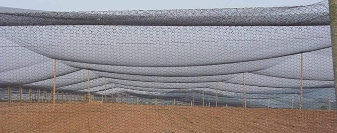 Poultry Netting 1" or 2" Mesh Heavy Knotted Nets Aviary Gamefowl Quail Chicken Bird Block Net Long Lasting Break/Burst 85/245 lb Polyethylene 8-10 Year Lifespan (6' X 150', 1)