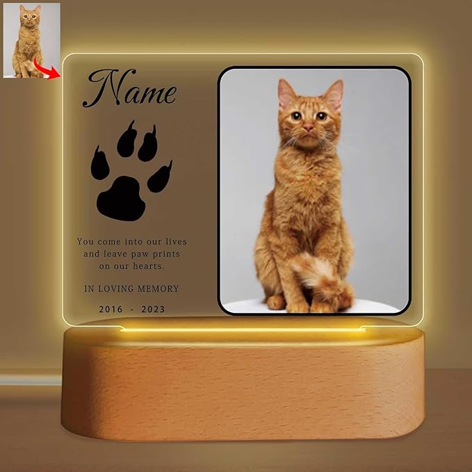 Personalized Pet Night Light Customized Dog Memorial Gift Picture Frame Acrylic