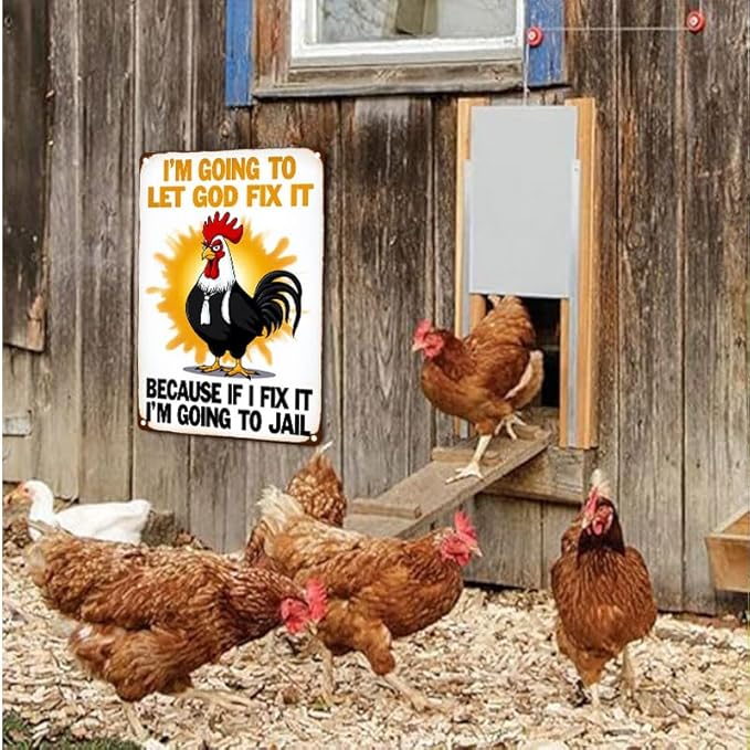 Funny Chicken Gifts Christian God Gifts I'm Going to Let God Fix It Tin Sign for Home Farm Chicken Coop Farmhouse Kitchen Garden Decor 12 X 16 Inch