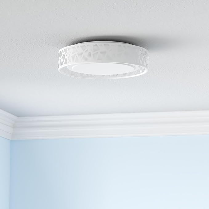 LED Flush Mount Ceiling Light 2 Pack, 14 Inch Dimmable Round Lighting Fixture