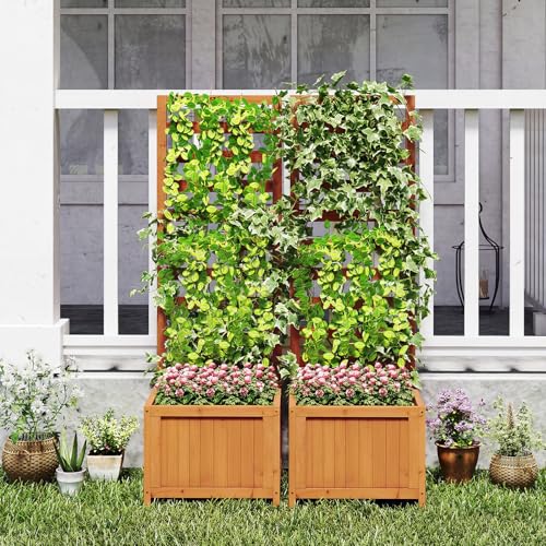 2 48" Raised Garden Bed with Trellis & Garden Box