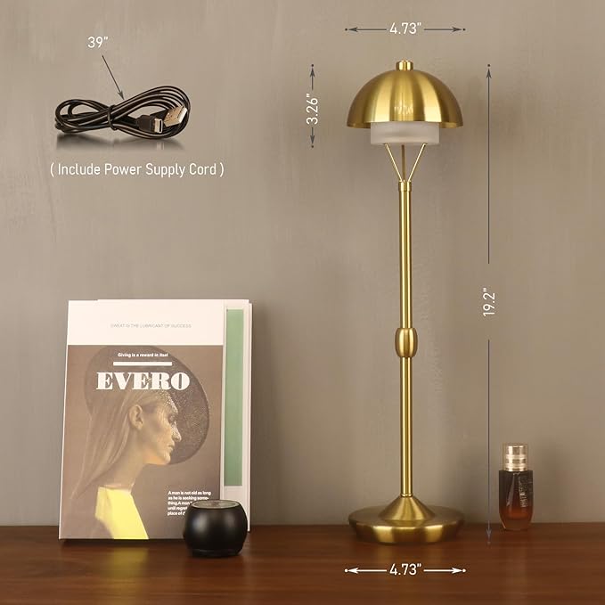 Modern Table Lamp Cordless Portable Desk Lamp, 2700K Stepless Dimming