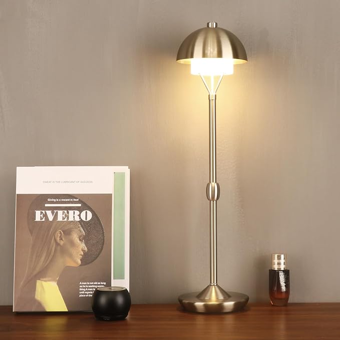 Modern Table Lamp Cordless Portable Desk Lamp, 2700K Stepless Dimming