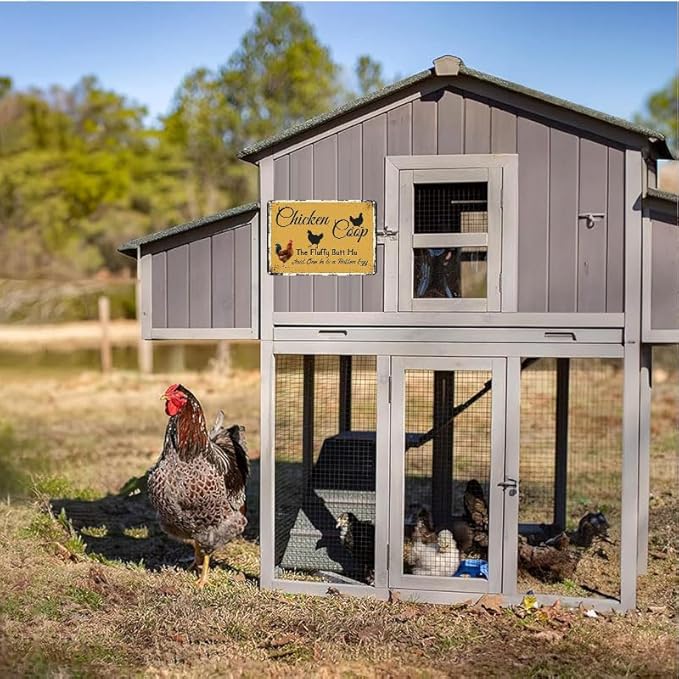 Chicken Coop Outdoor Decor with Fluffy Butt Hut Design 6x8 Inch Tin Sign for Yard Farmhouse Poultry Lovers