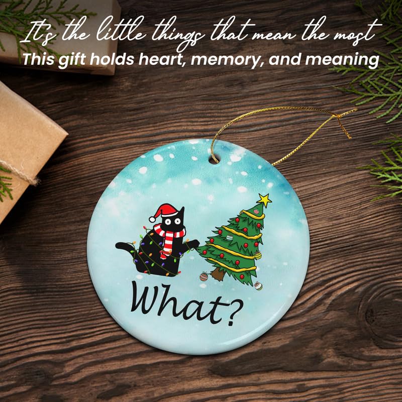 Christmas Funny Black Cat Gifts for Women Men