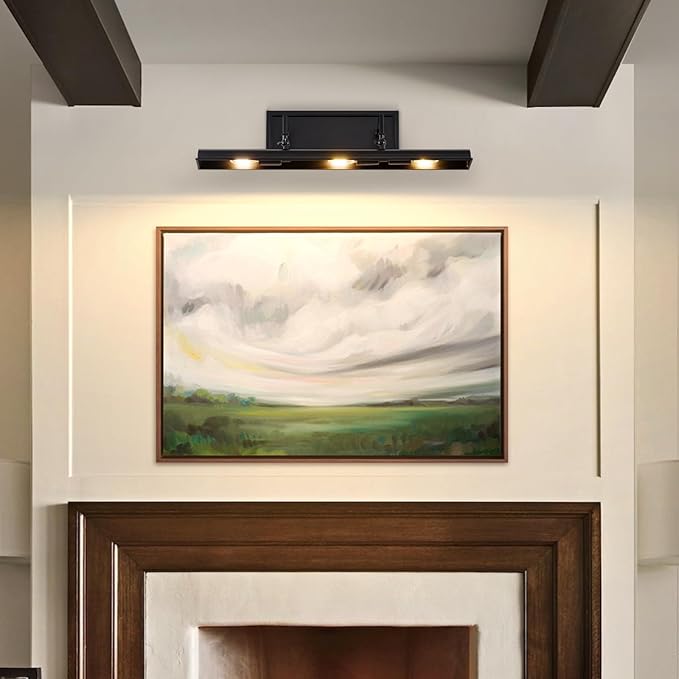 BELS Picture Light for Wall, 24 Inch Black Wall Light Hardwire, Warm Light 2700K