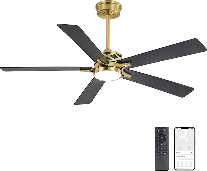 WINGBO 52" Smart Ceiling Fan
