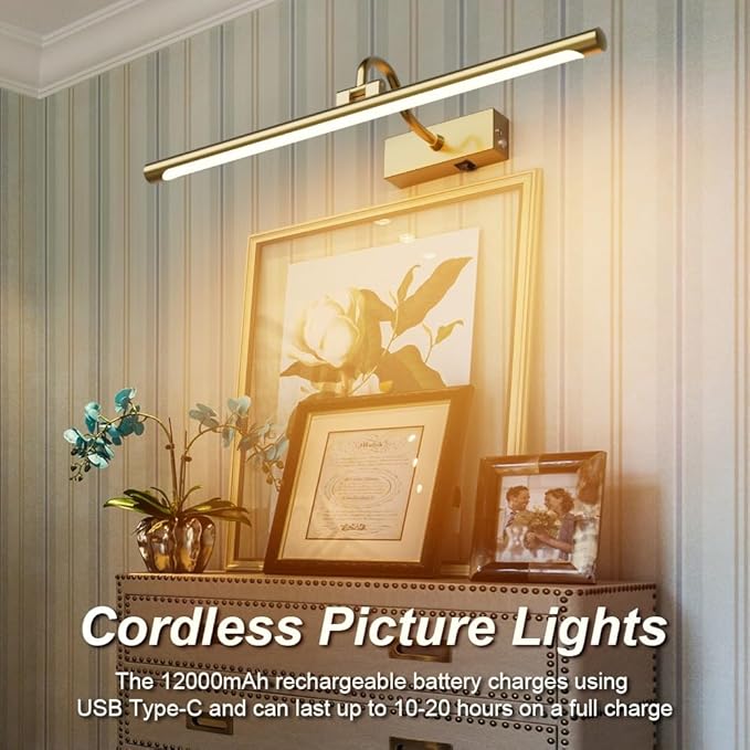 Aipsun 23.6" Brass Picture Lights