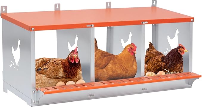 3 Bay Metal Nesting Box, Orange Wall Mount Chicken Nest for Hens & Ducks, Heavy Duty Galvanized Steel with Hen-Shaped Vents & Coconut Fiber Pad, Easy Tool-Free Assembly (Orange/Silver)