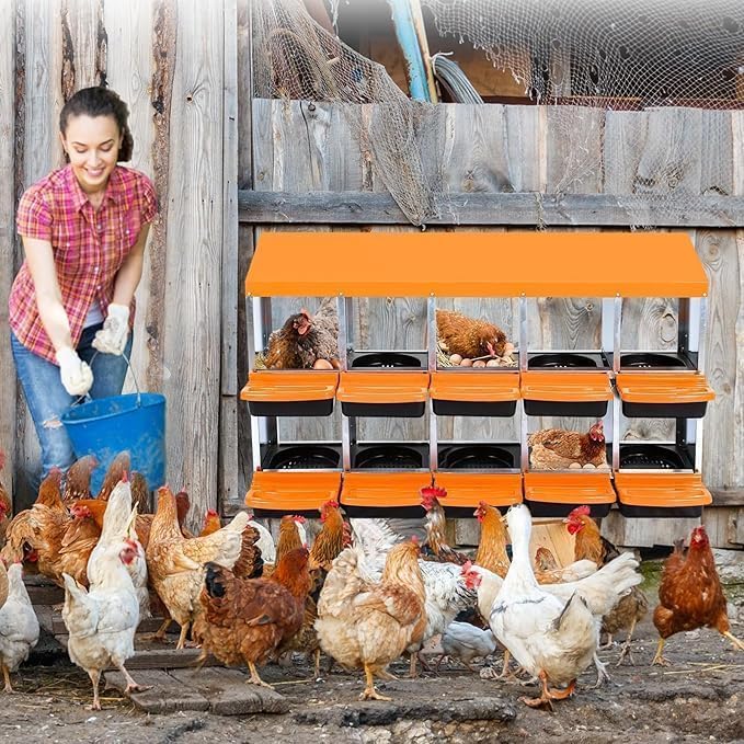 Chicken Nesting Box，10-Hole Nesting Boxes for Chicken Coop with Removable Plastic Egg Tray & Ventilation Holes, Wall Mount/Freestanding Poultry Laying Box for Hens, Ducks & Coops