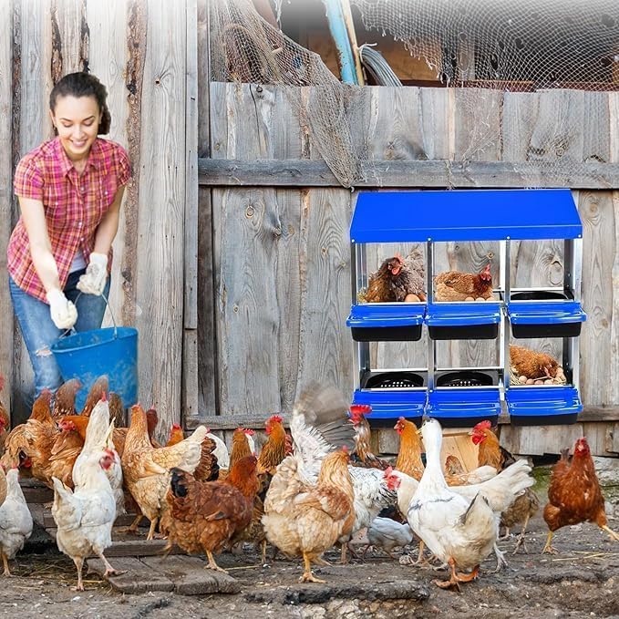 [6-Pack] Chicken Nesting Boxes for Hens - Galvanized Steel Wall Mount or Freestanding Chicken Nest, Removable Plastic Egg Tray & Ventilation Holes - Poultry Nesting Boxes for Egg Laying (Blue)