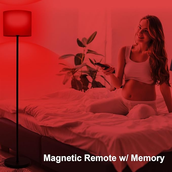 Floor Lamp with Red Light