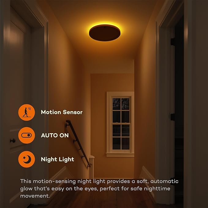 Motion Sensor Ceiling Light