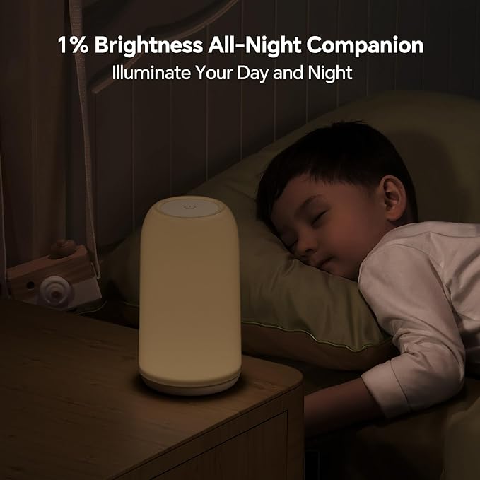 Cordless Table Lamps Rechargeable, Touch Lamp