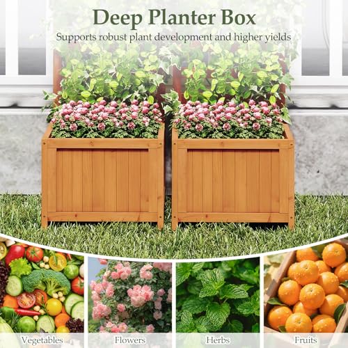 2 48" Raised Garden Bed with Trellis & Garden Box