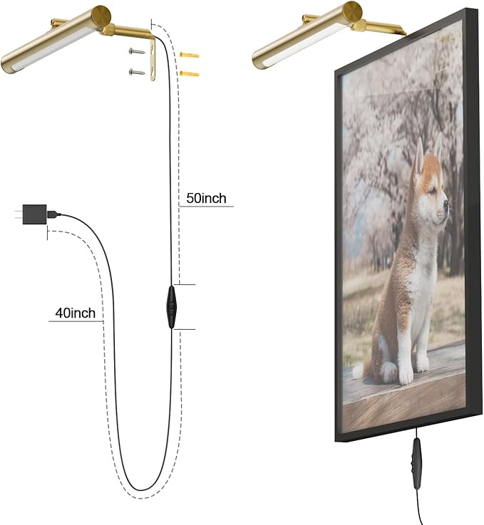 4W Picture Light Plug in, Dimmable Wall Light
