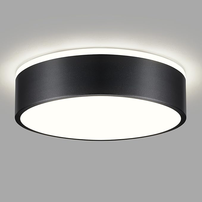 Dimmable LED Flush Mount Ceiling Light Fixture, Modern Black Round Ceiling Light