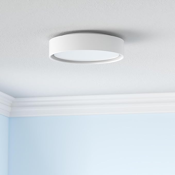 LED Flush Mount Ceiling Light, 14 Inch Dimmable Round Lighting Fixture