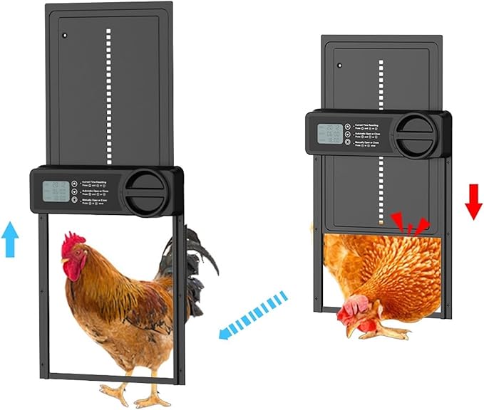 Automatic Chicken Coop Door Solar Powered, Display Automatic Chicken Door with Timer & Light Sensor,Solar Chicken Coop Door(Bundle2)