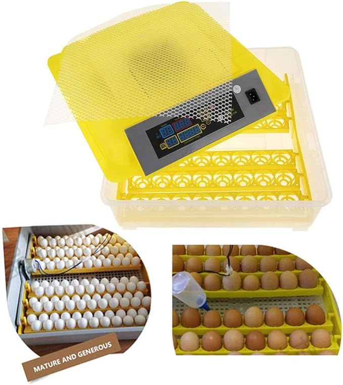 Egg Incubator Automatic Turning Digital Poultry Hatcher with Temperature Control Breeder for Hatching Chicken Duck Goose Quail Birds Turkey, 48 Eggs (Size : 110v)(220V)