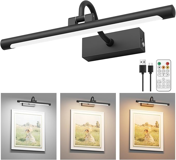 Aipsun 15.7" Black Picture Lights