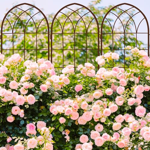 71 x 40in Rustic Iron Arch Decoration Garden Trellis with Metal Coating (2 Count)