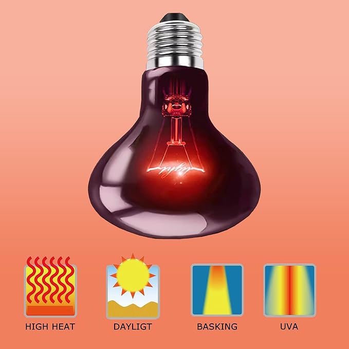 100W UVA Infrared Heat Lamp Bulb – High-Performance Red Basking Spot Light for Lizards, Leopard Geckos, Turtles and Chicks, Perfect for Reptile Tanks, Chicken Brooders & Terrariums | 2 Pack