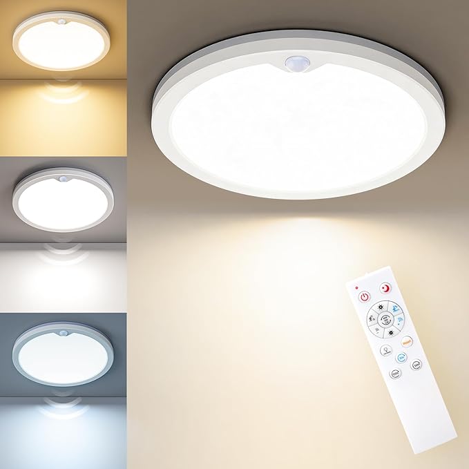 Motion Sensor Ceiling Light