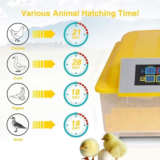 Egg Incubator Automatic Turning Digital Poultry with Temperature Control Breeder for Hatching Chicken Duck Goose Quail Birds Turkey, 48 Eggs