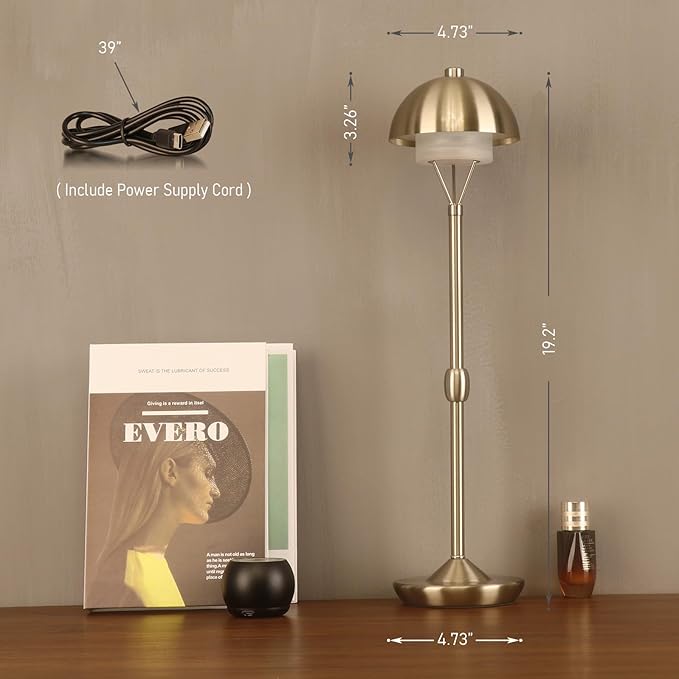 Modern Table Lamp Cordless Portable Desk Lamp, 2700K Stepless Dimming