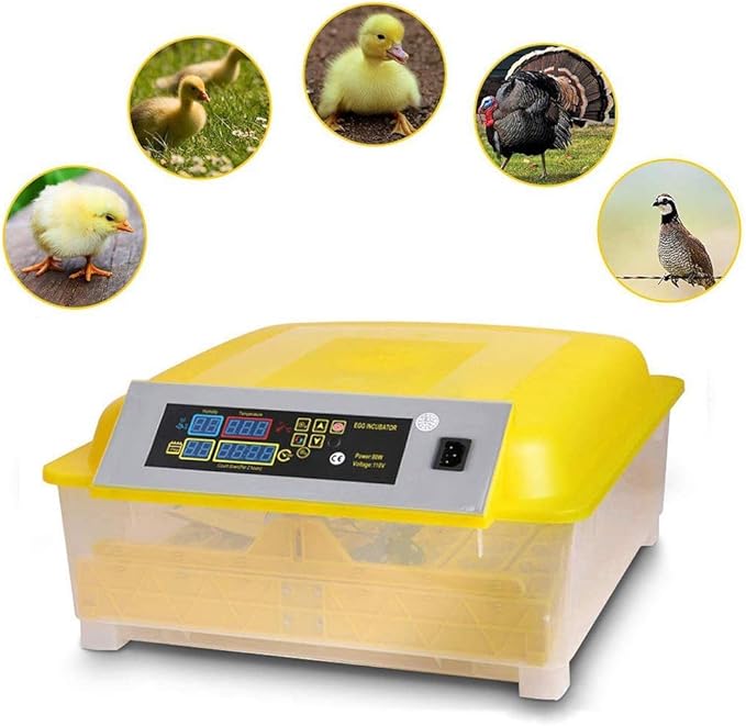 Egg Incubator, Incubators for Hatching Eggs Automatic Turning Digital Temperature Control Poultry 48 Eggs for Chickens Ducks Birds
