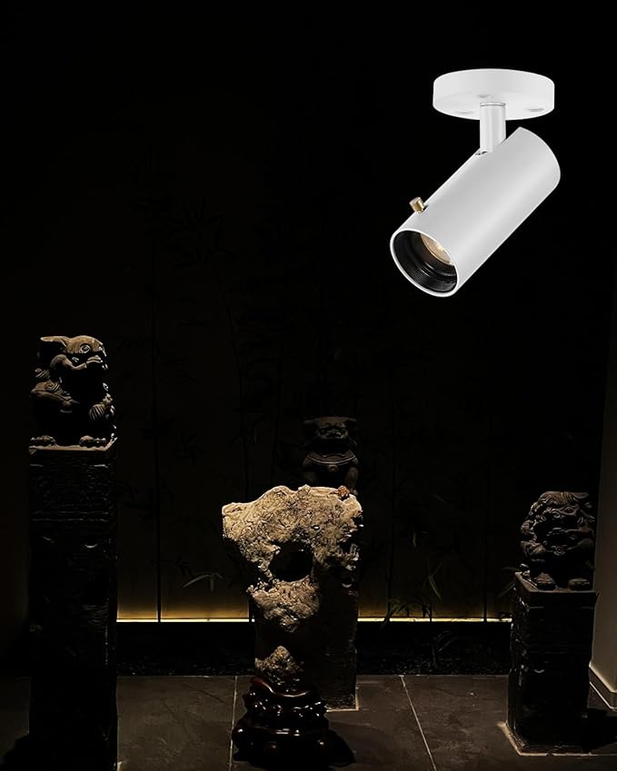 LED Ceiling Spot Light, 3W Cob Zoomable Spotlight, Small Angle Free Adjustable