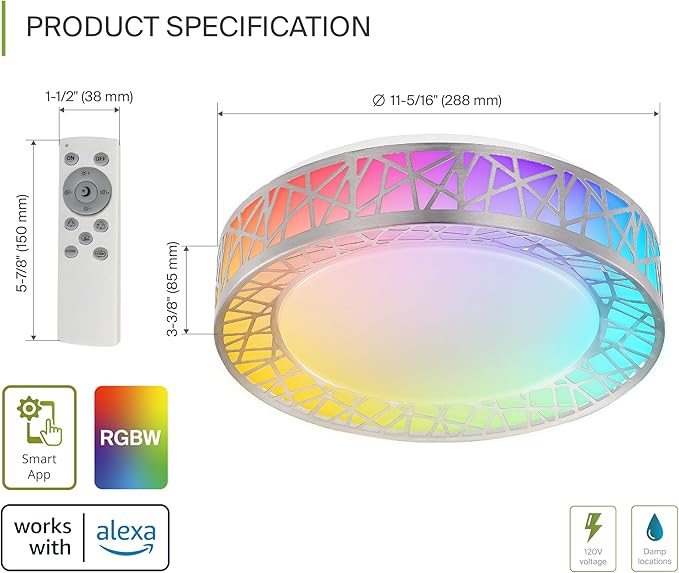 ASD 12 Inch Smart RGBW Flush Mount Ceiling Light