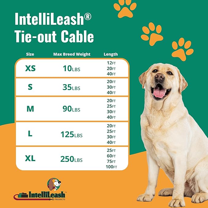 IntelliLeash12FT Tie-Out Cables for Dogs - Strong, Safe, and Durable Dog Tie-Outs for Small Dogs up to 10 Pounds - Weather and Wear Resistant Galvanized Aircraft Cable for Outside Use