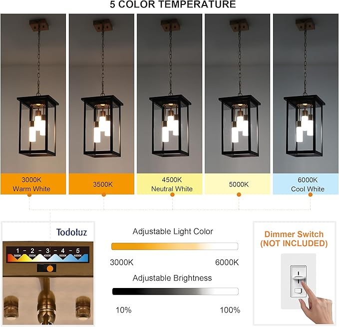 TODOLUZ 3-Light Large Outdoor Pendant Light