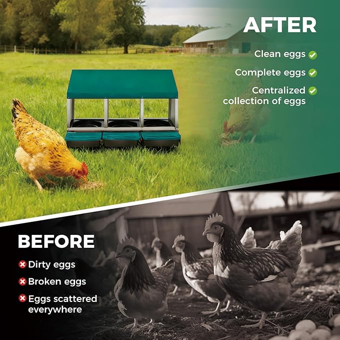 3 Hole Chicken Nesting Boxes, Roll Away Metal Nesting Box for Chicken Coop, Galvanized Steel Roll Out Egg Collection with Removable Trays and Wall Mount Legs