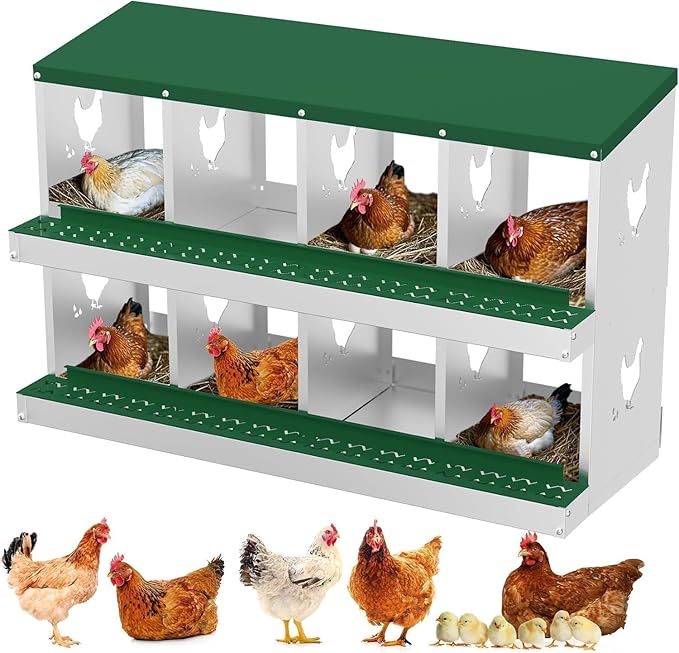 Metal Chicken Nesting Box, 8 Compartments, Rollout Egg Collection, Large Vented Holes, Perch Included, Wall Mount or Free Standing Laying Box for Hens and Chickens - Green