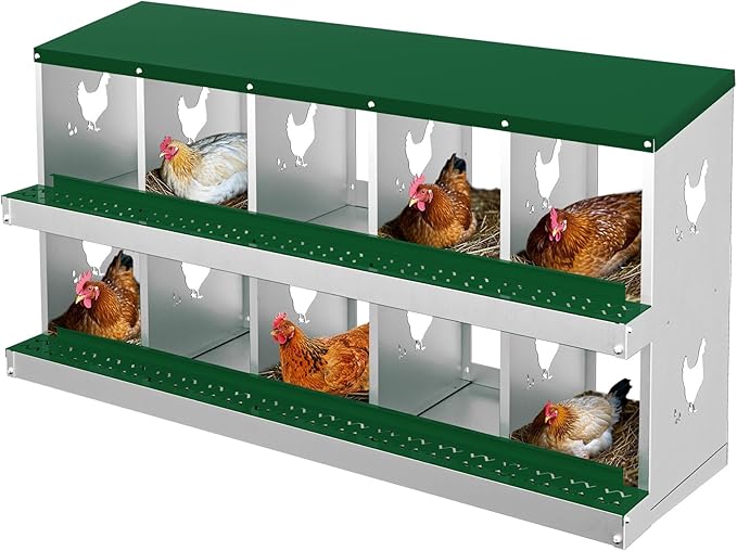 Chicken Nesting Boxes for Hens - 6&8&10 Compartments Roll Away Chicken Laying Boxes with Sturdy Metal Legs & Protective Lid Cover, Durable Galvanized Steel Construction, Easy Clean Design