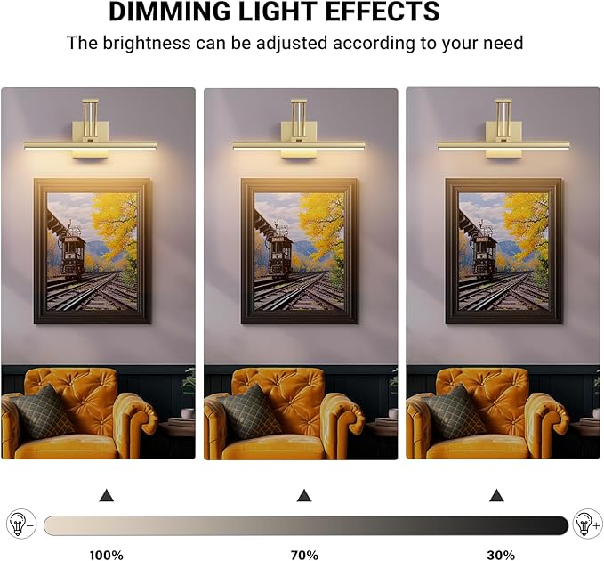 Tipace Hardwired Gold Picture Lights