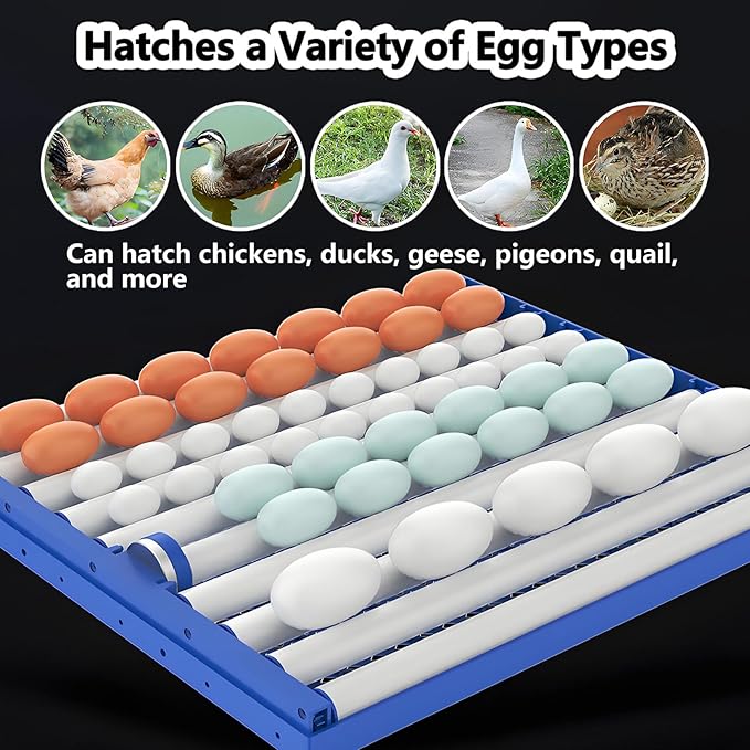 Poultry Pigeon & Game Bird Egg Incubators with Auto Turn & Smart Temp/Humidity Control & Egg Candler Poultry Hatcher Machine for Hatching Eggs Adjustable Rollers for Any Egg Size 272eggs