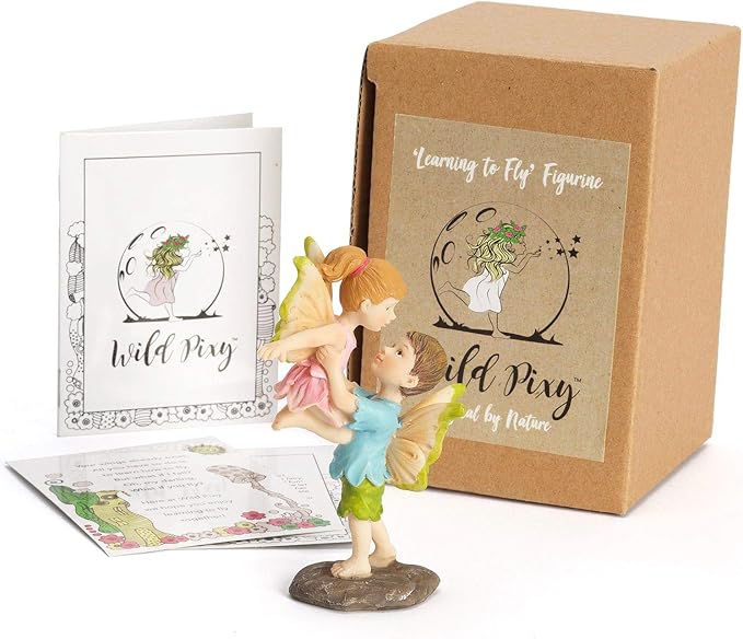 WILD PIXY Miniature Fairy Figurine - Fairy Garden Fairies with an Inspiration Theme, Includes A Fairy Poem and Gift Box, Gorgeous Miniature Garden Decoration for Indoor or Outdoor Fairy Gardens