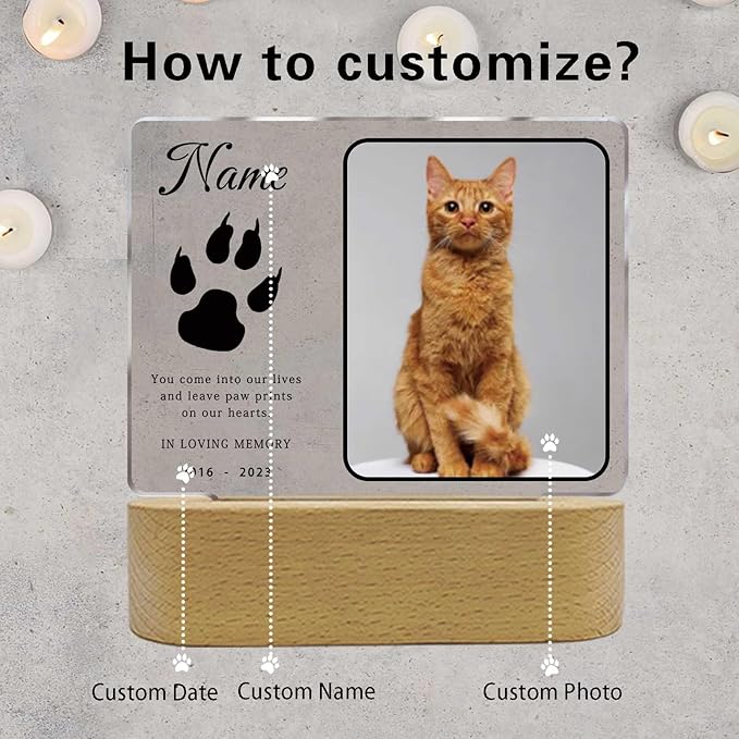 Personalized Pet Night Light Customized Dog Memorial Gift Picture Frame Acrylic